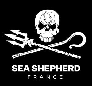 Logo de Sea Sheperd