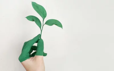 Empreinte écologique et communication