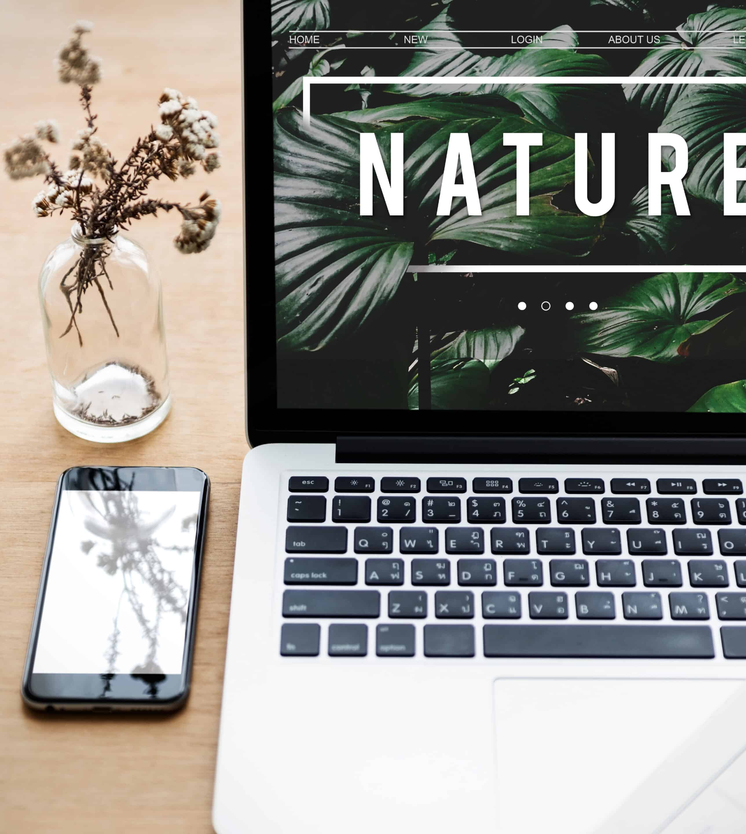 Photo-pack-numeriquesobre_Plan de travail 1 Photo d'un site web nature